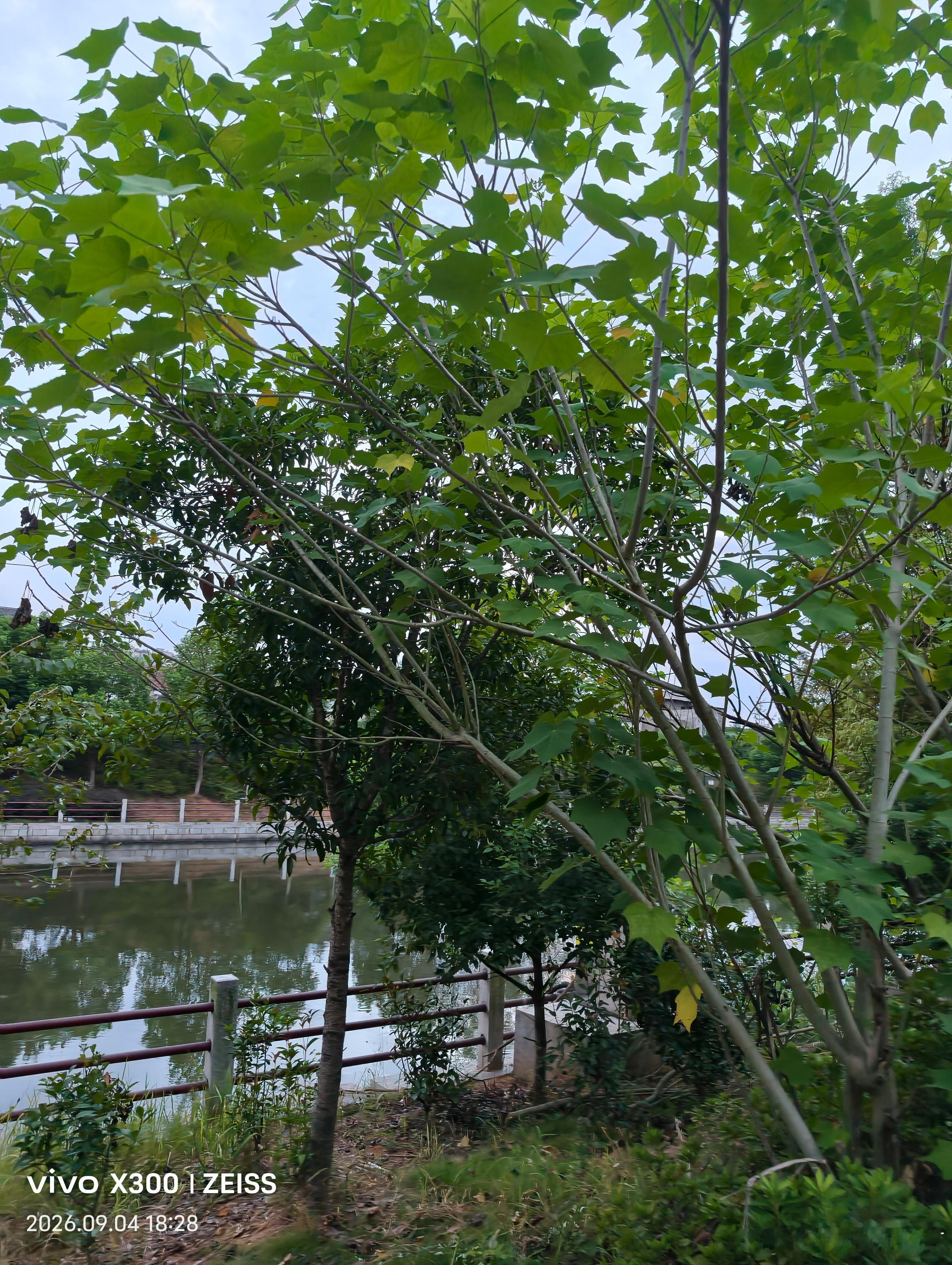 人不可能每一步都正确，不用回头看，也不要批判那时候的自己，要始终相信，所走之路，