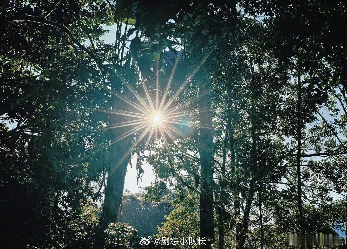 李沁马达加斯加plog李沁晒花少马达加斯加合照 被李沁分享的花儿与少年马达加斯加