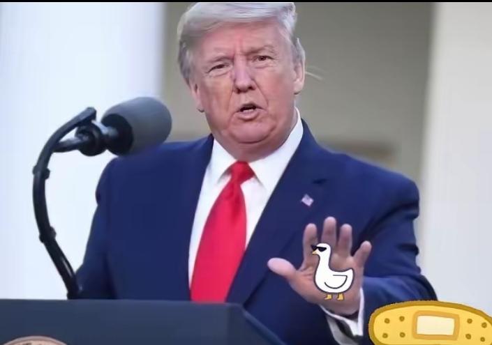 11月25日，美国国际贸易委员会（ITC）正式宣布，对特定液晶器件、组件及其下游