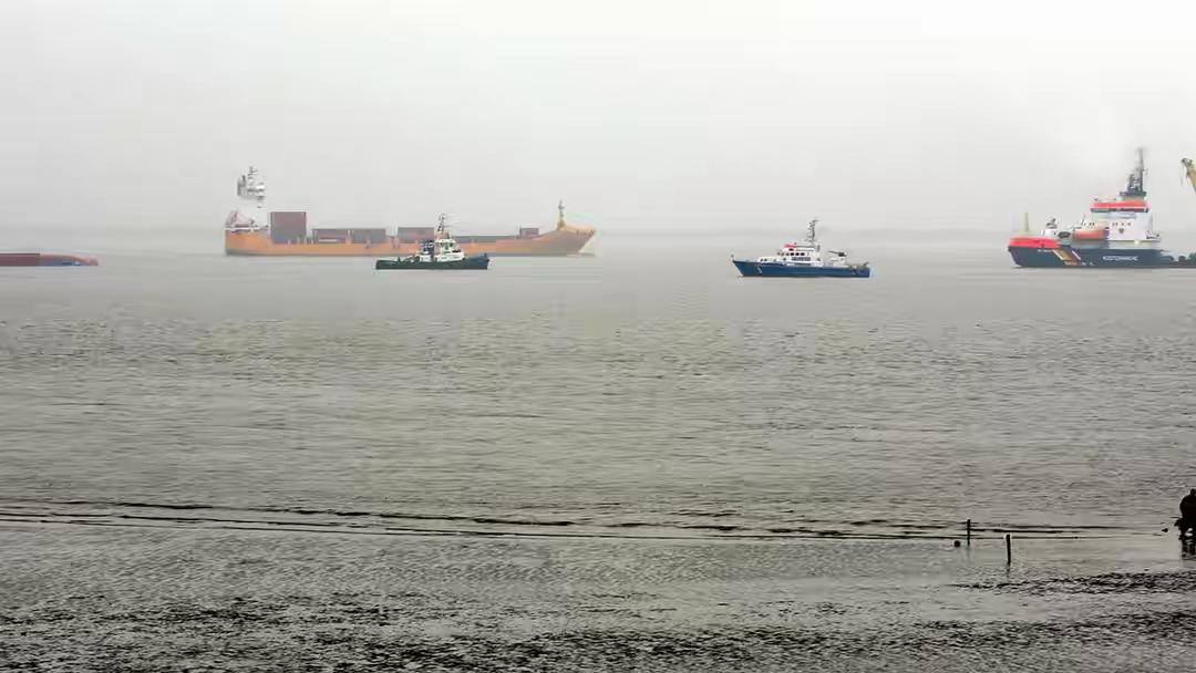 俄无人机在黑海袭击德国货船，俄方称其“为乌军运军事装备”
俄罗斯军队8月5日在黑