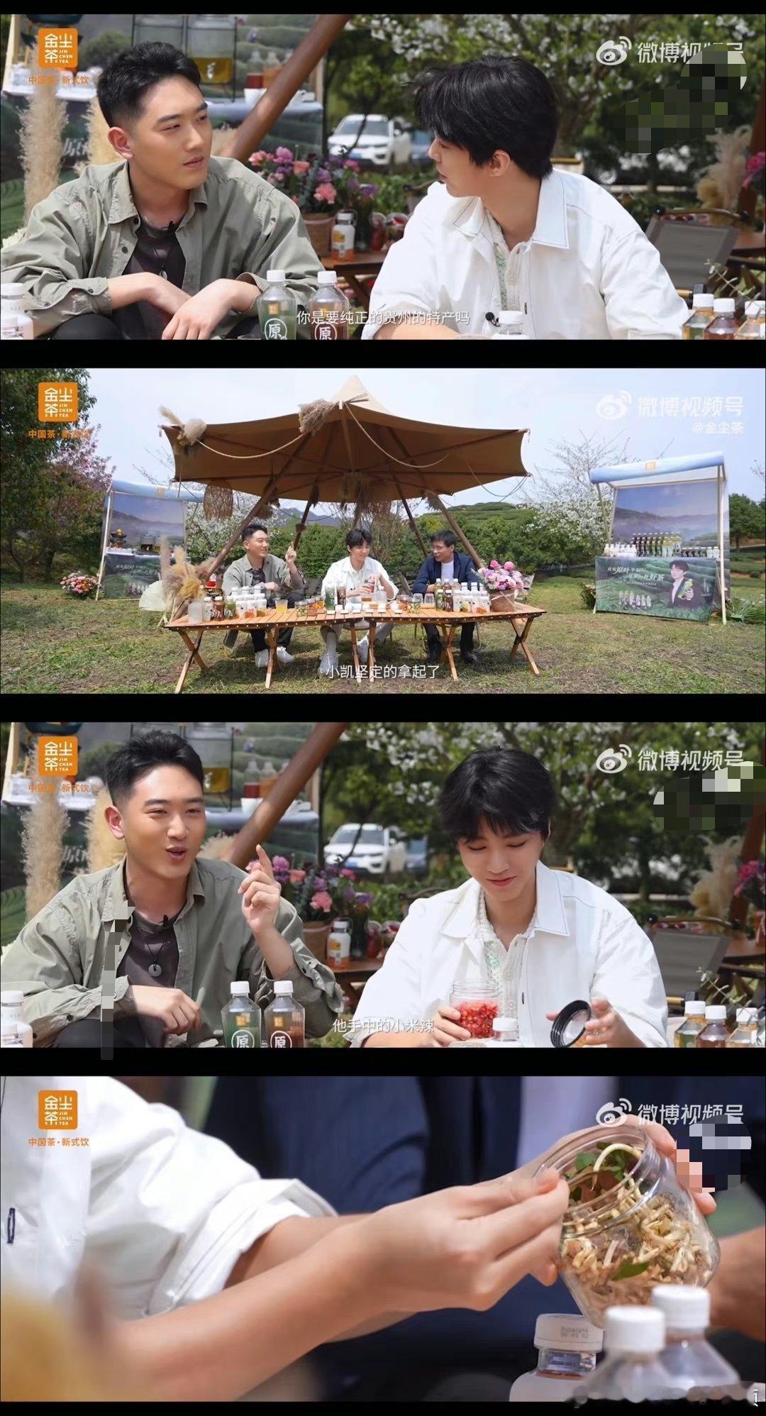 #王俊凯采茶姿势# 王俊凯采茶姿势，好标准，调茶🍵和你一起走进茶世界 “凯”启
