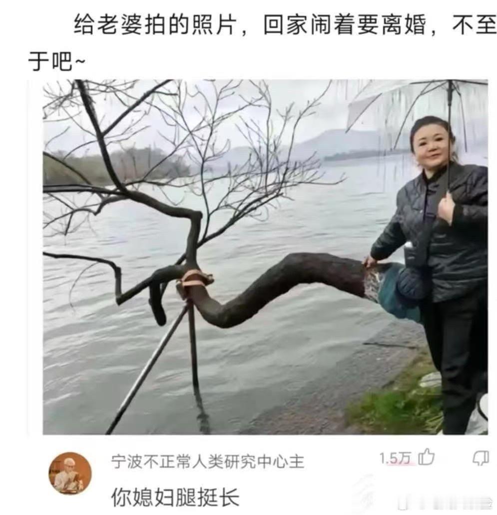 跟你结个婚都快成妖怪了，能不离吗？ 