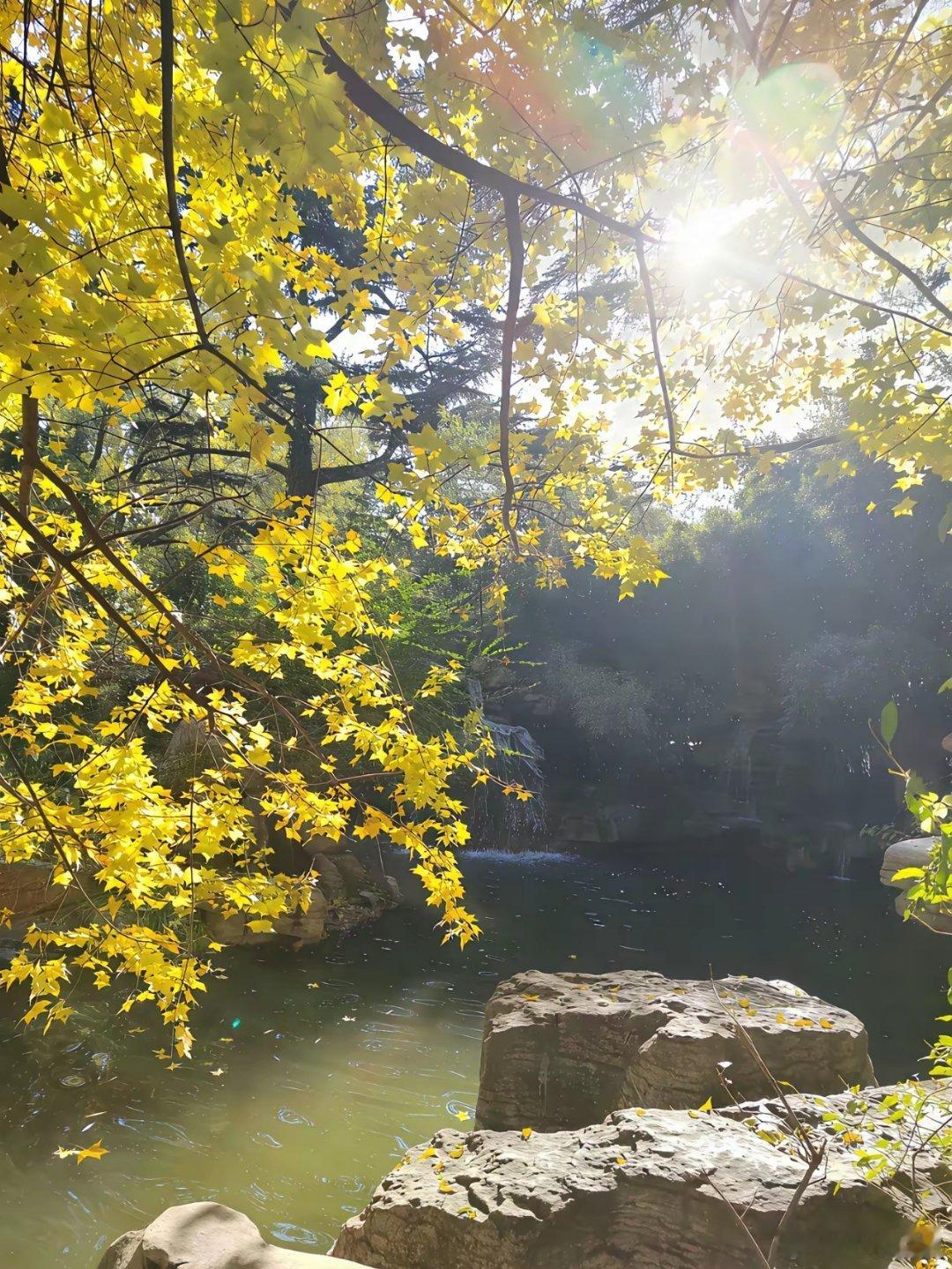 董宇辉谈到济南时说：到处是泉眼，干净地涌动着，其中全是细小的气泡，阳光照射之后像