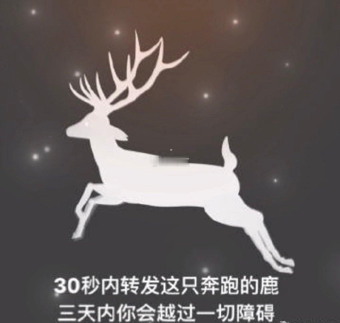 十秒转赞灵性神鹿，三天里你会飞跃所有阻碍坎坷。很灵很灵很灵的……… ​​​
