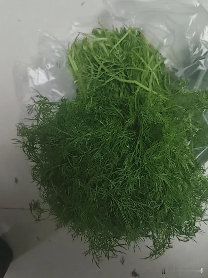 人性就是如此，对于贵的东西就舍不得扔。早些时候茴香很便宜。一块来钱一斤，记得那时