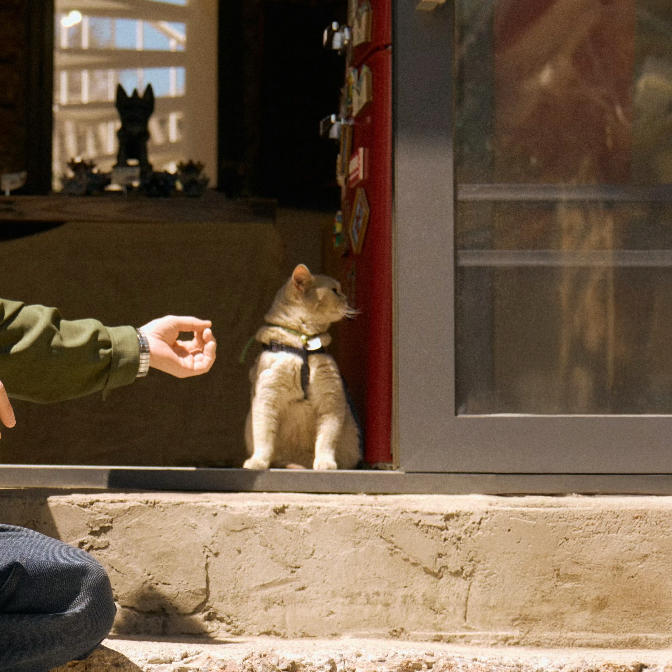 新鲜情头出炉 伟大！ 