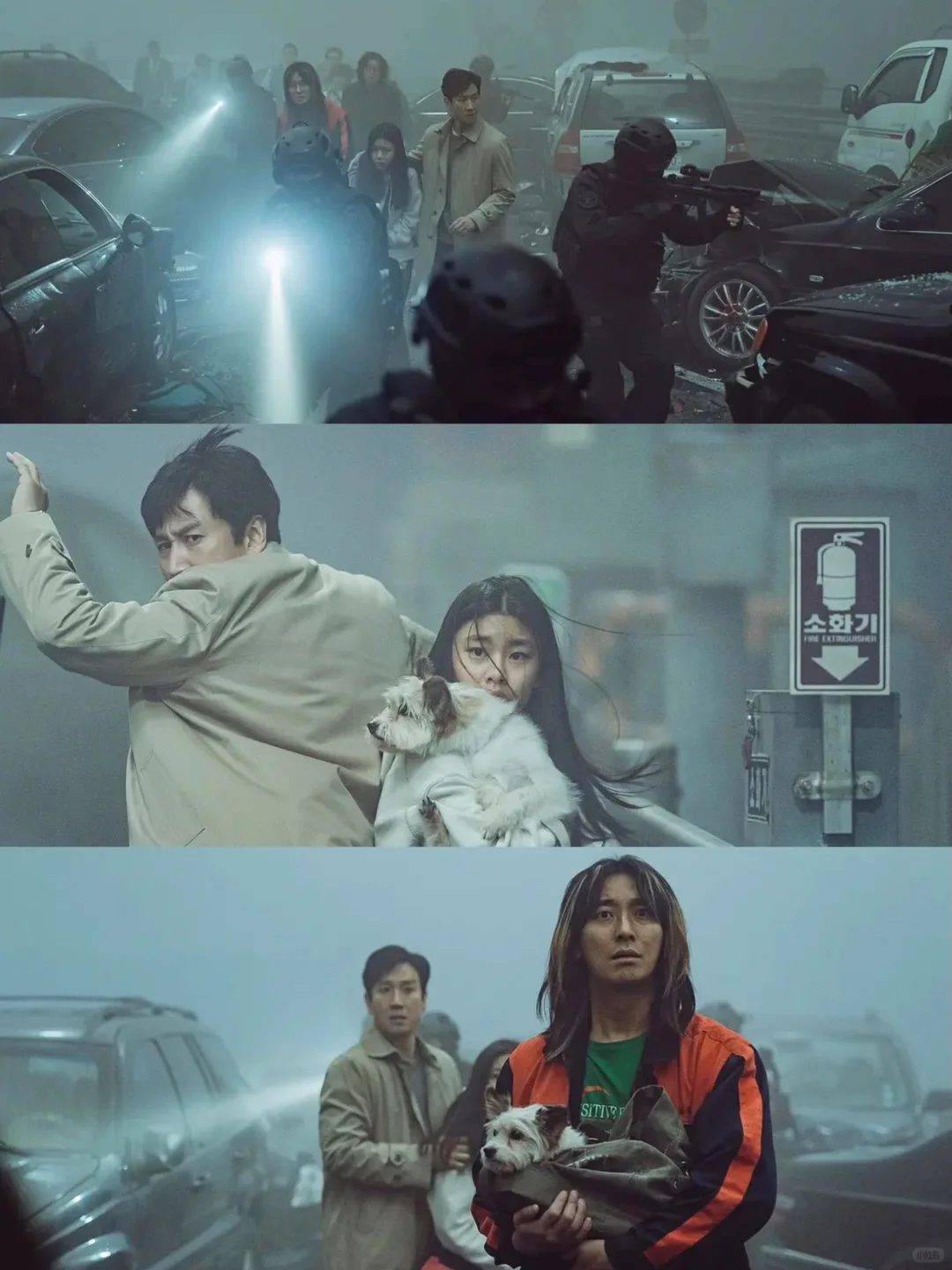 蕞新恐怖丧尸片🔥太精彩了🔥码住