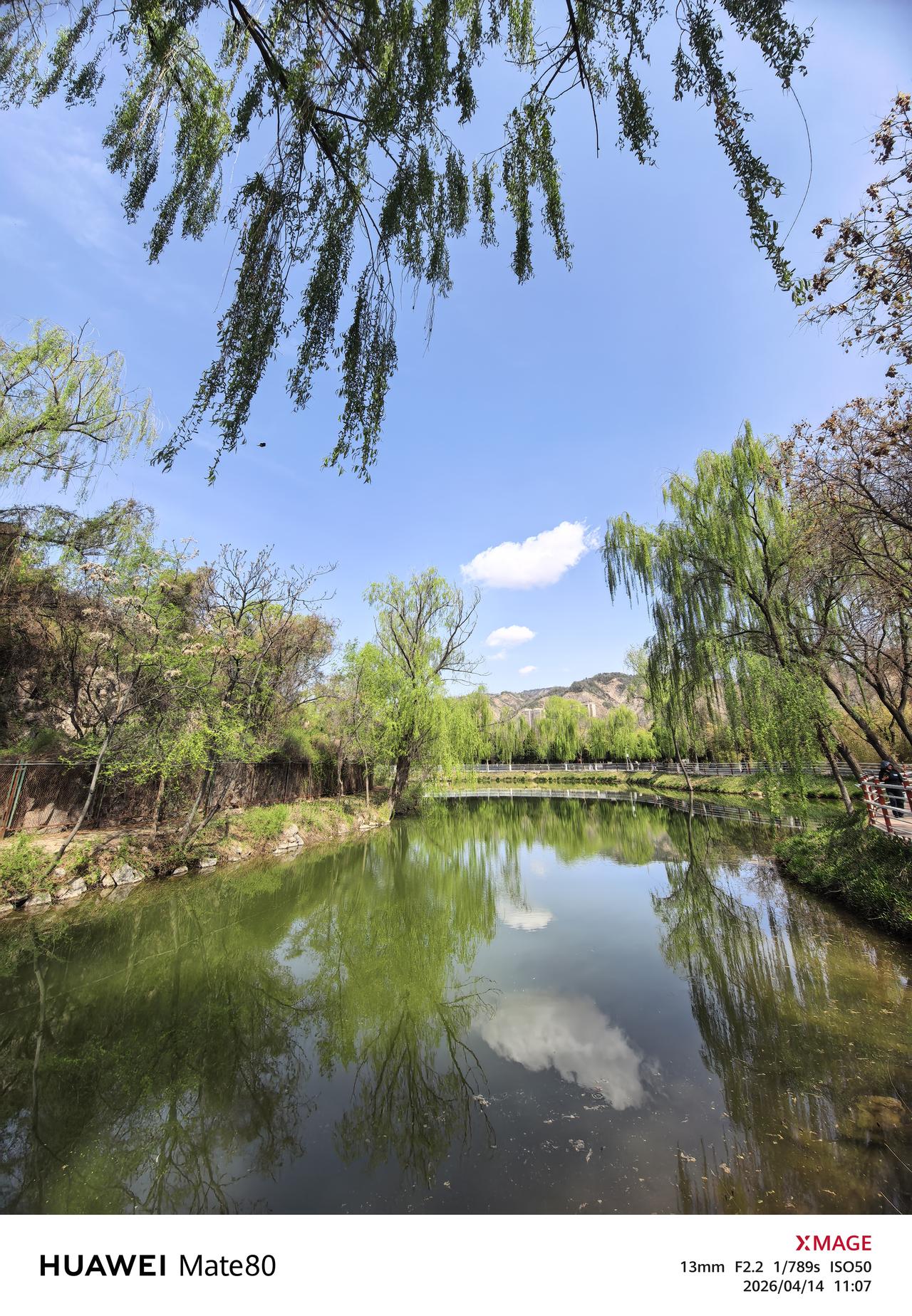 西部摄影 手机摄影 晴光落镜池，云影共垂丝。柳色添新绿，山光入画迟。漫步小西湖公