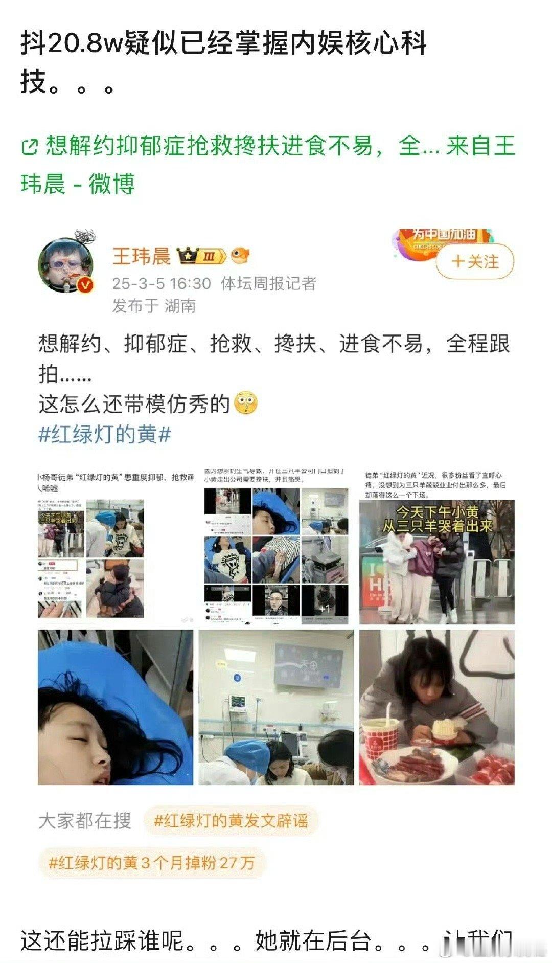 红绿灯的黄被质疑模仿赵露思红绿灯的黄疑似模仿赵露思  红绿灯的黄被质疑模仿赵露思