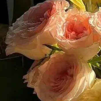 正能量学会孤独，没有谁会把你当宝护着。学会独立，不能再一味的麻烦别人，自己的事自