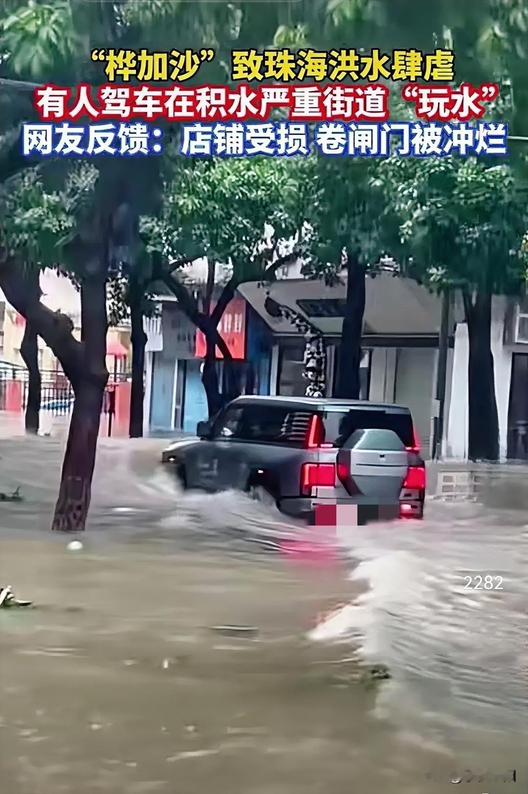 超强台风“桦加沙”登陆广东省，给省内一些城市带来了严重的破坏，不但树木被台风刮倒