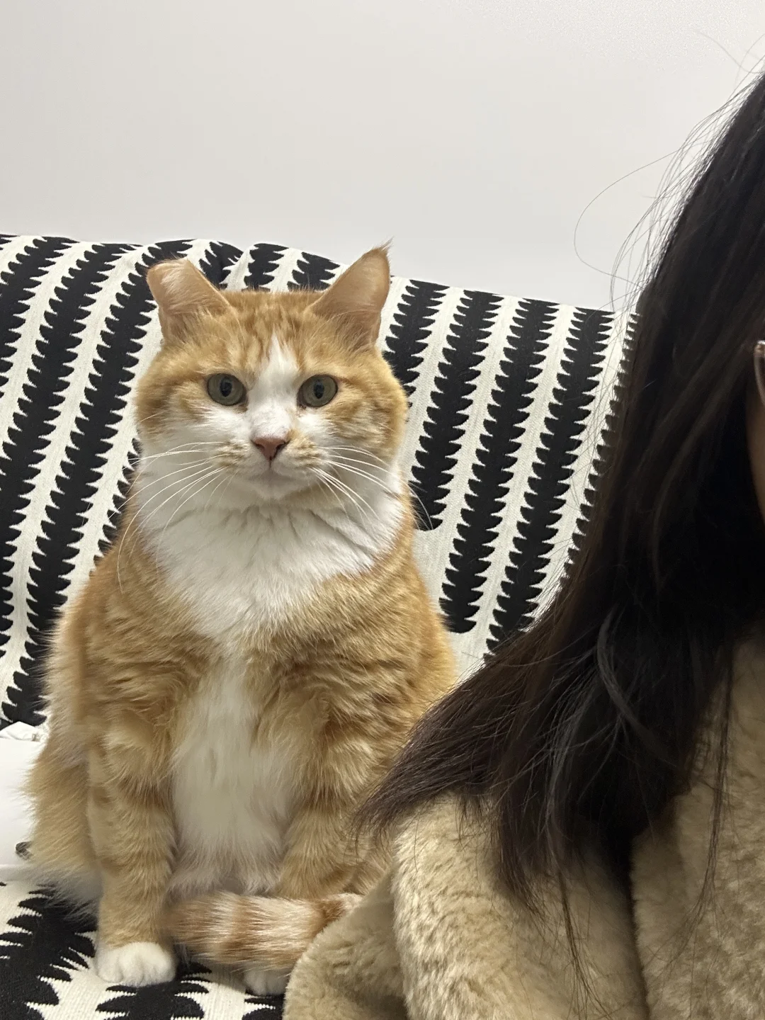 你在左边我紧靠右 第一张照片不太敢亲密的