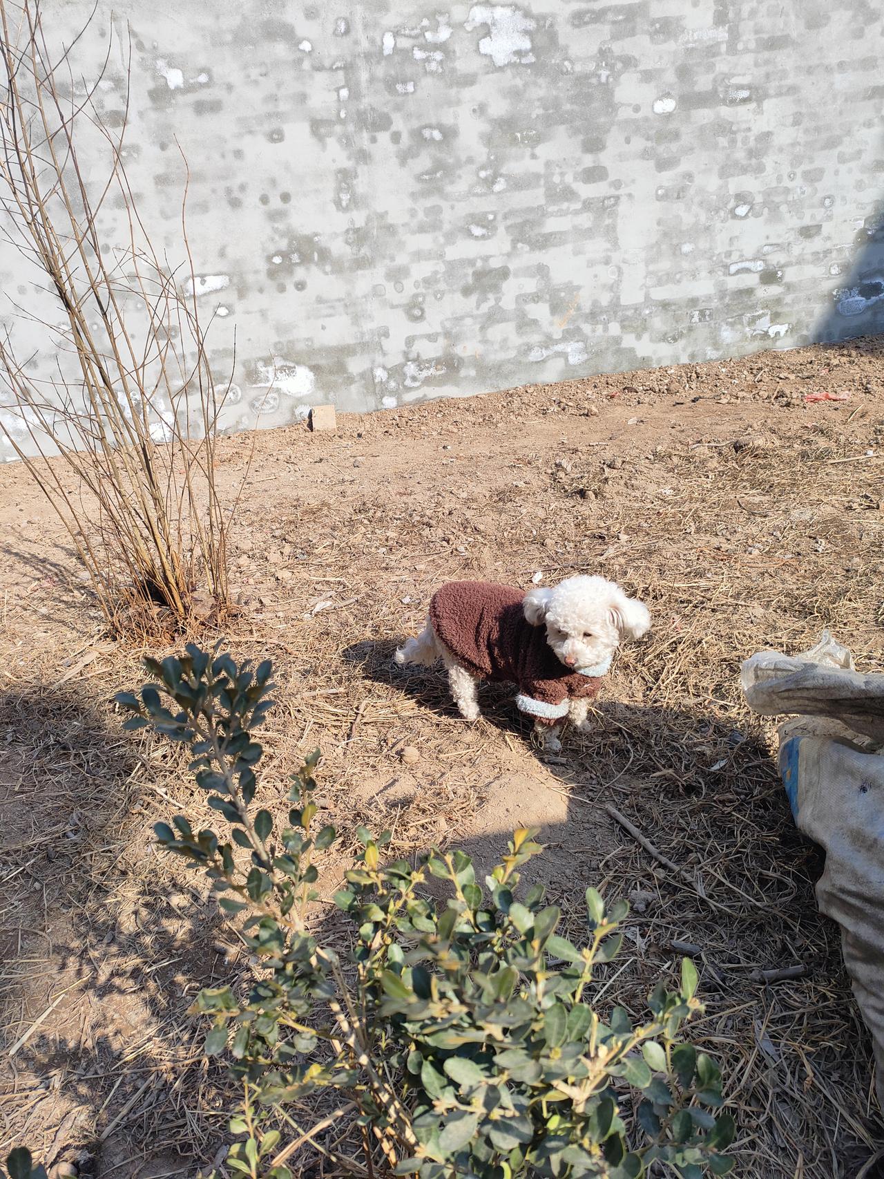 骏马启程得现金我正在参加骏马启程分50万春节活动。完成任务使骏马加速，累计里程越