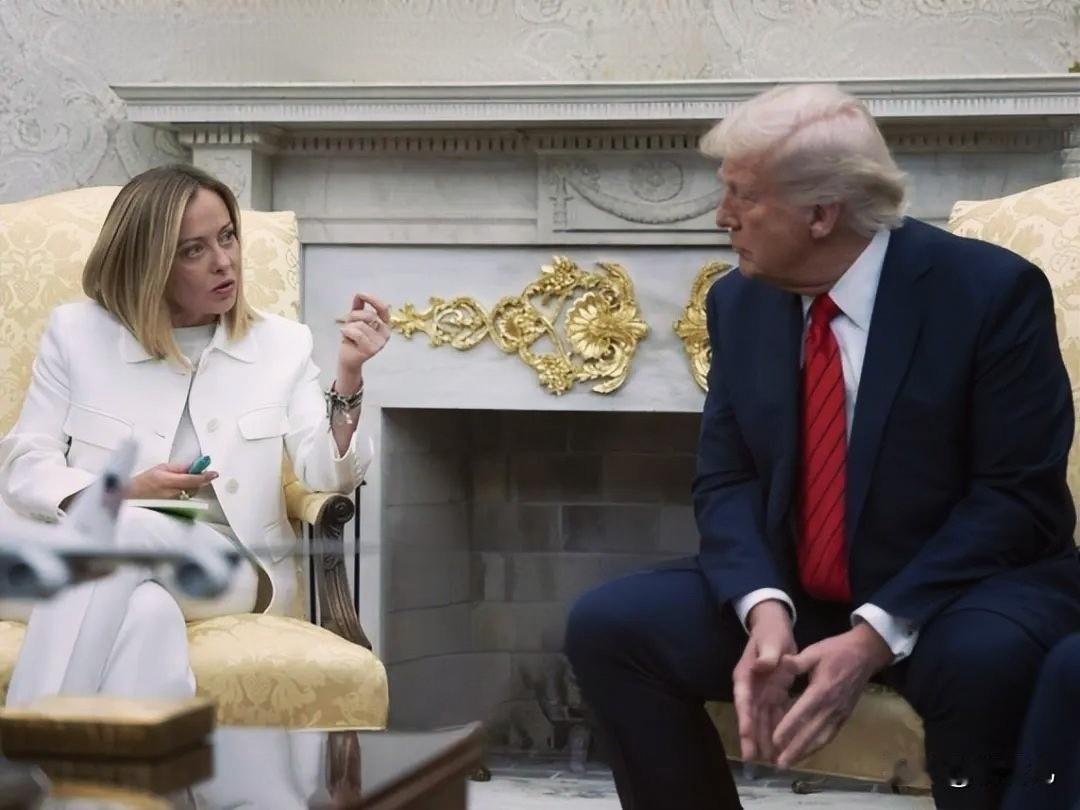 意大利总理梅洛尼，罕见怒批特朗普

特朗普在达沃斯接受福克斯新闻采访时称，美国「