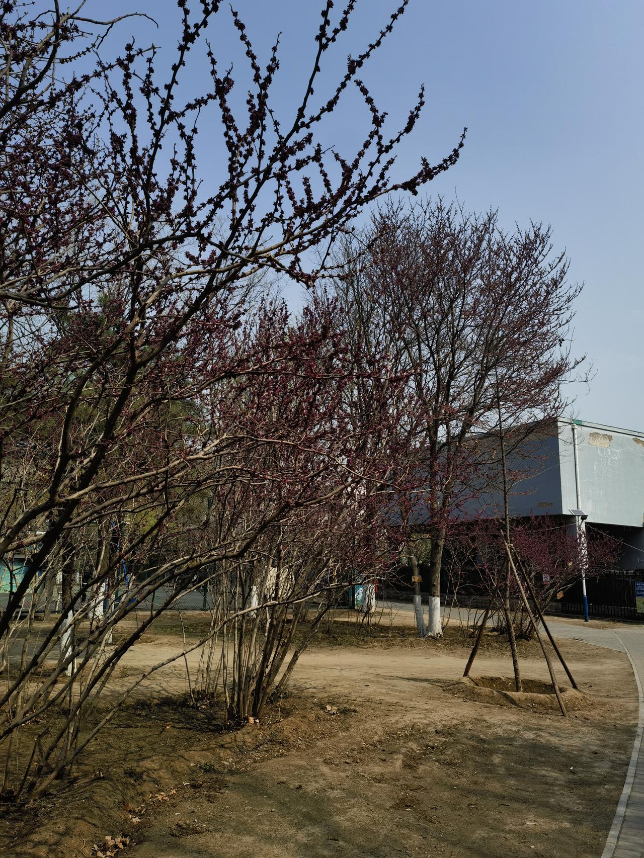 一旦开始纠结这两项，就没意义了，就像满树花开，自然而然最好～～