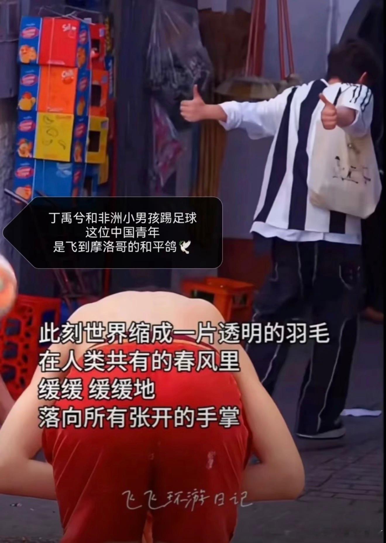 恰好丁禹兮穿了和平鸽的衣服和平共处体现在新一代年轻人身上