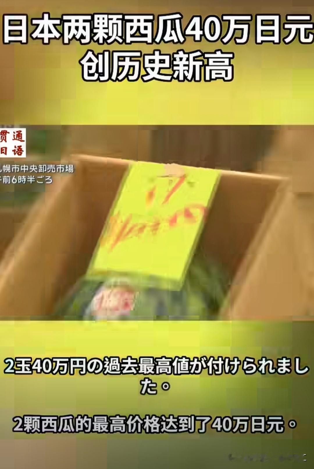 日本两个西瓜拍出了40万日元（16899元）的历史最高价。

日本北海道的名产雷
