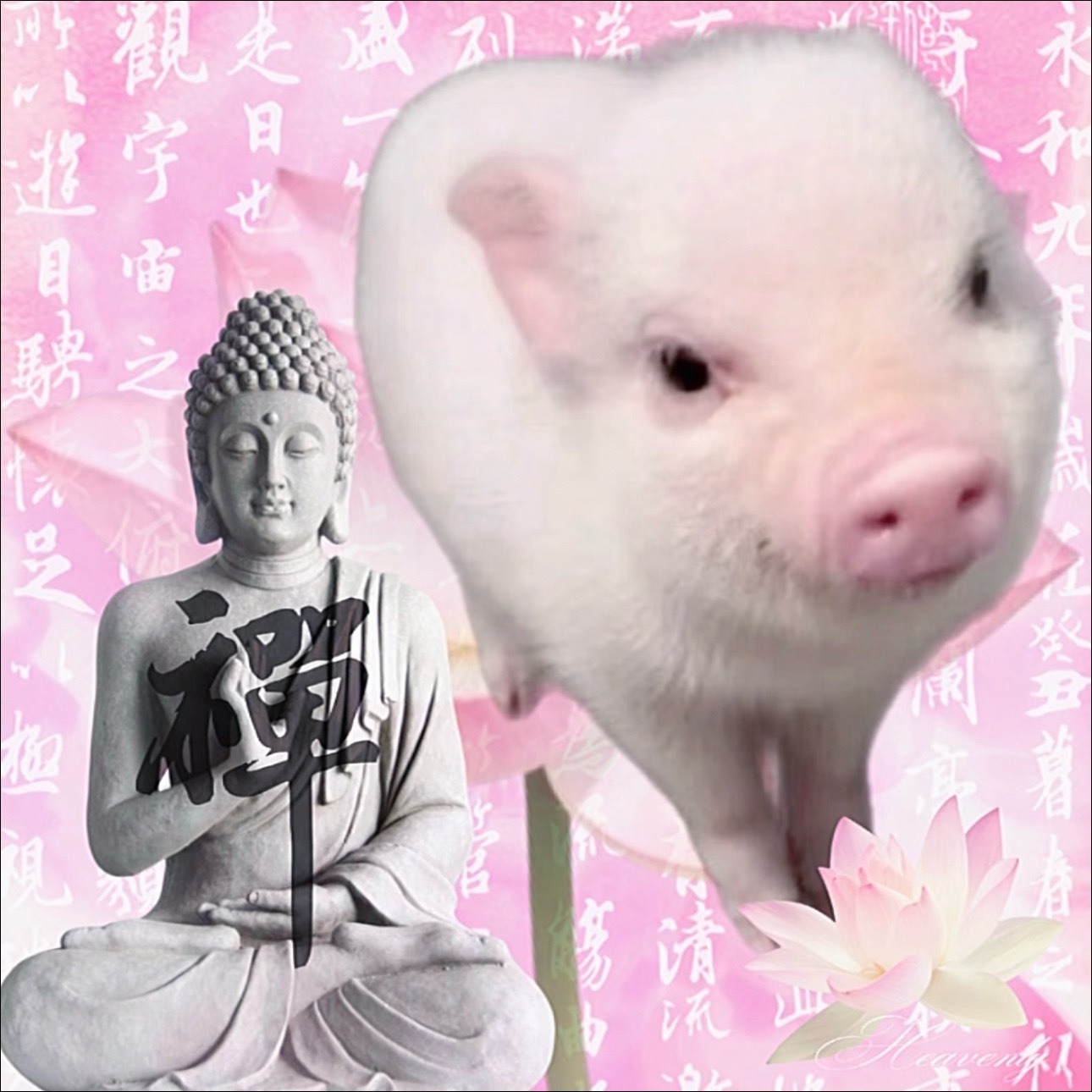 请假了一天，终于爽睡了[猪头] ​​​