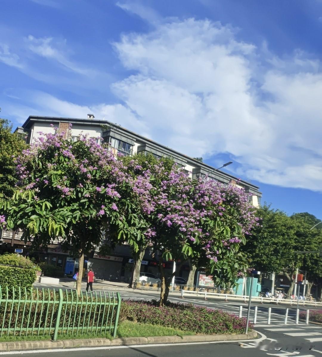 碧空晴朗的福州，盛夏暑气扑面而来，晚风也带着温热。
可夏日乐趣从不缺席，冰饭、山