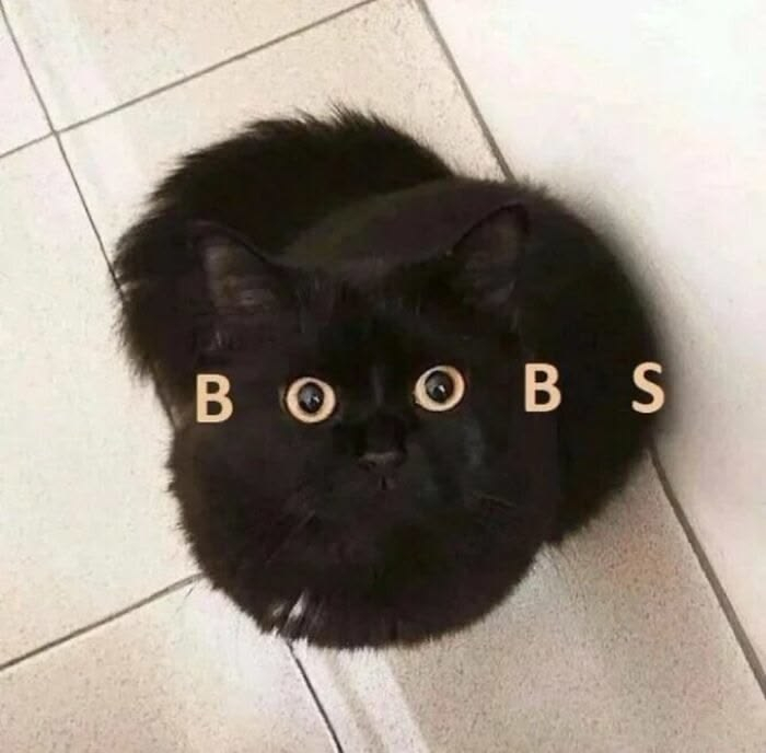 盛夏壁纸大放送动漫仲夏狂欢季 ☾⋆⁺₊🐈‍⬛🐾⋆⁺₊⋆☾ ​​​