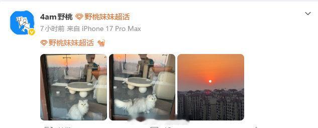 不装啦我摊牌啦其实是路路酱陪熬穿哒2026pel 和平精英职业联赛