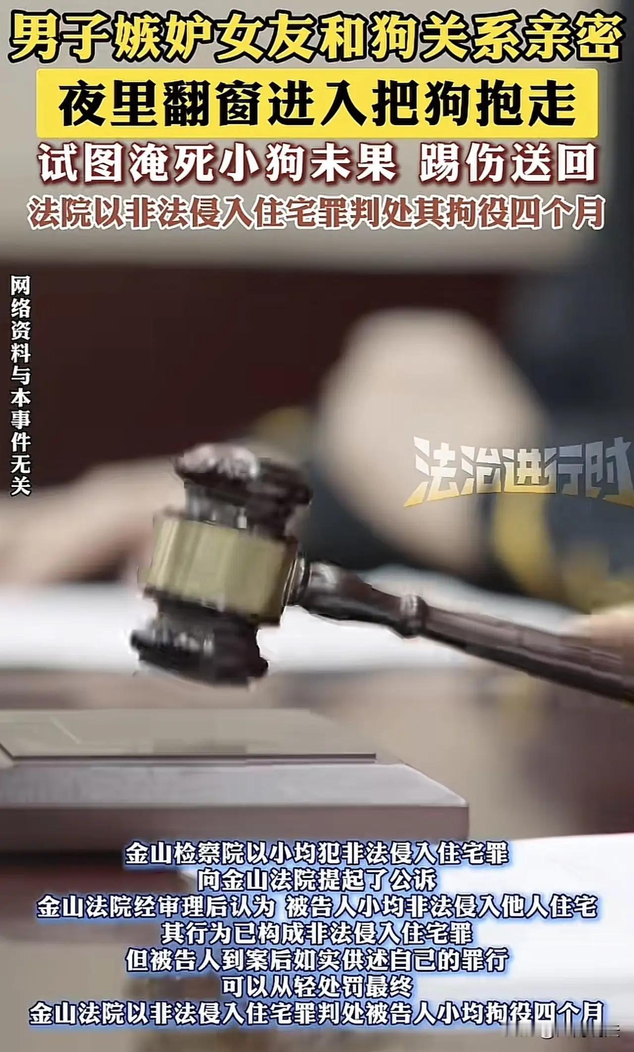 这个事件反映出情感纠纷中极端行为可能带来的严重后果，也引发了关于宠物与人际关系、