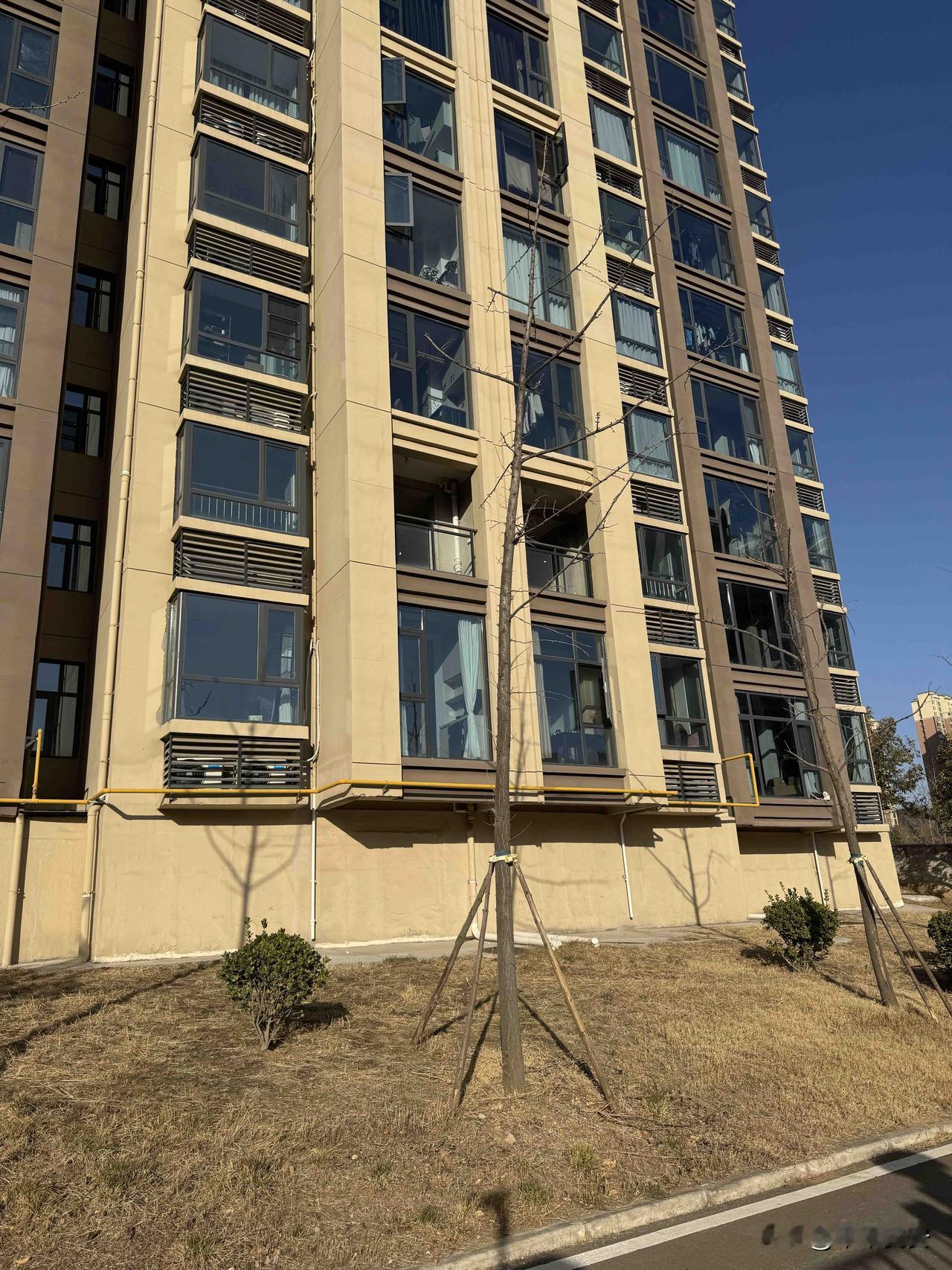 冬日生活打卡季随手一拍[比心]