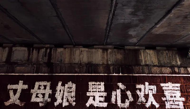 因此，烂梗文化被批个人还是支持的。千万不要让烂梗文化成为主导，不然真被没文化的人