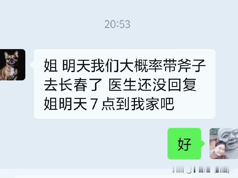 这是我见过的，对狗狗最好的夫妻，没有之一，好的让人羡慕嫉妒。我想，应该不会有人比