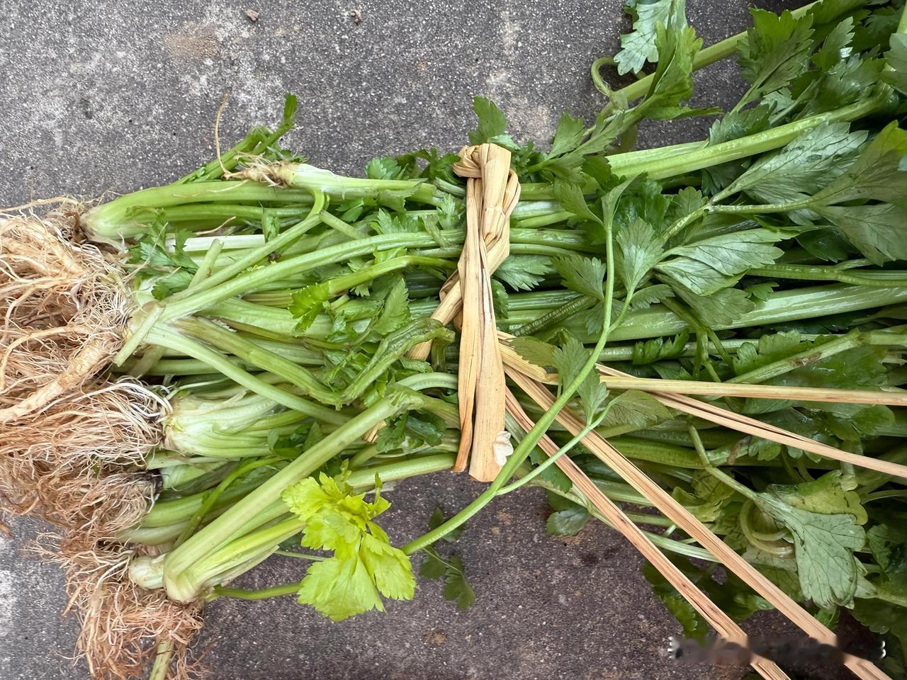 大家看看
这稻草扎香芹
可有感觉
从老大爷那买到这样的菜
不用担心科技与狠活
还