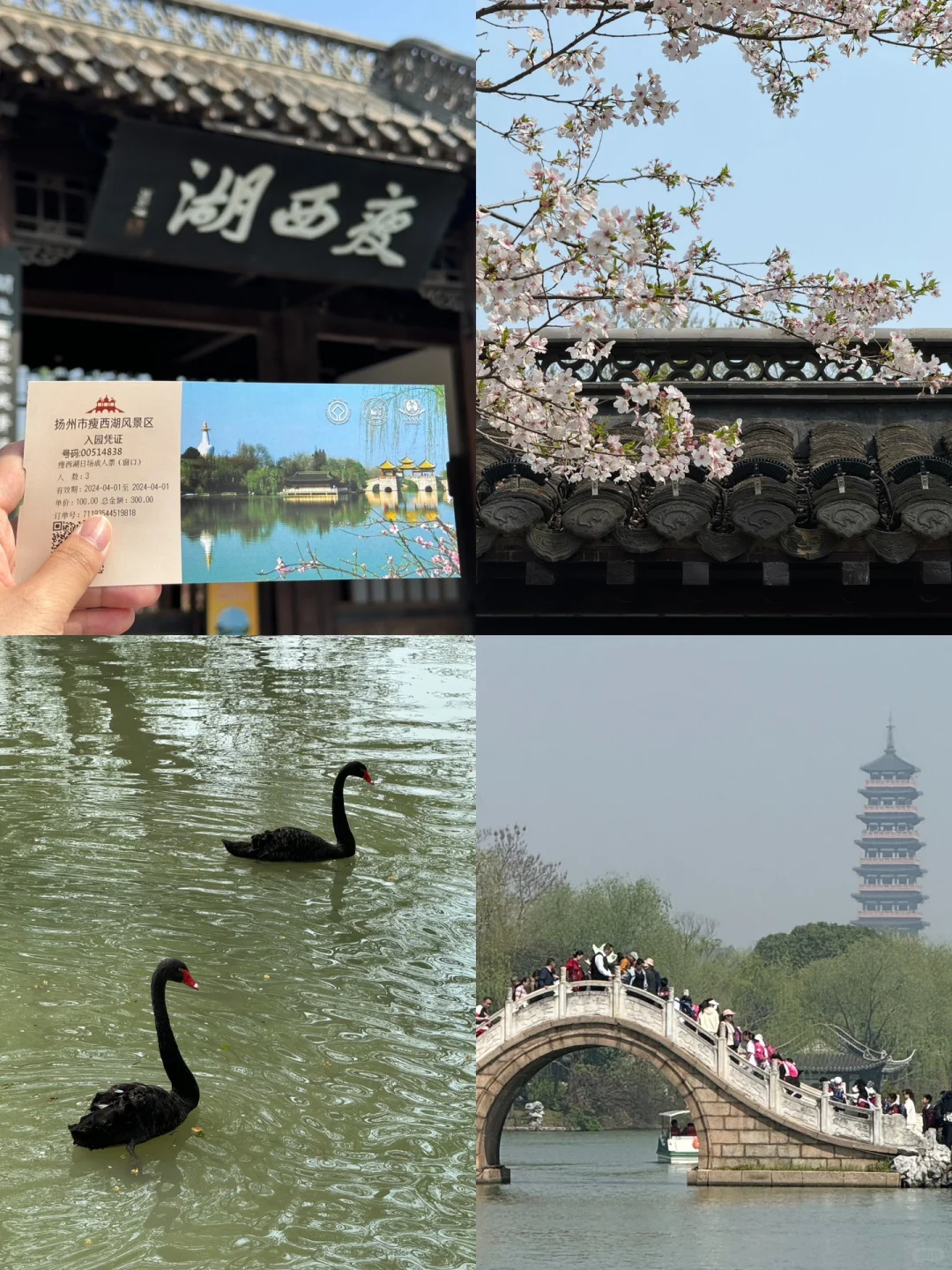 2天1夜｜烟花三月下扬州🌸（亲测成功版！！！