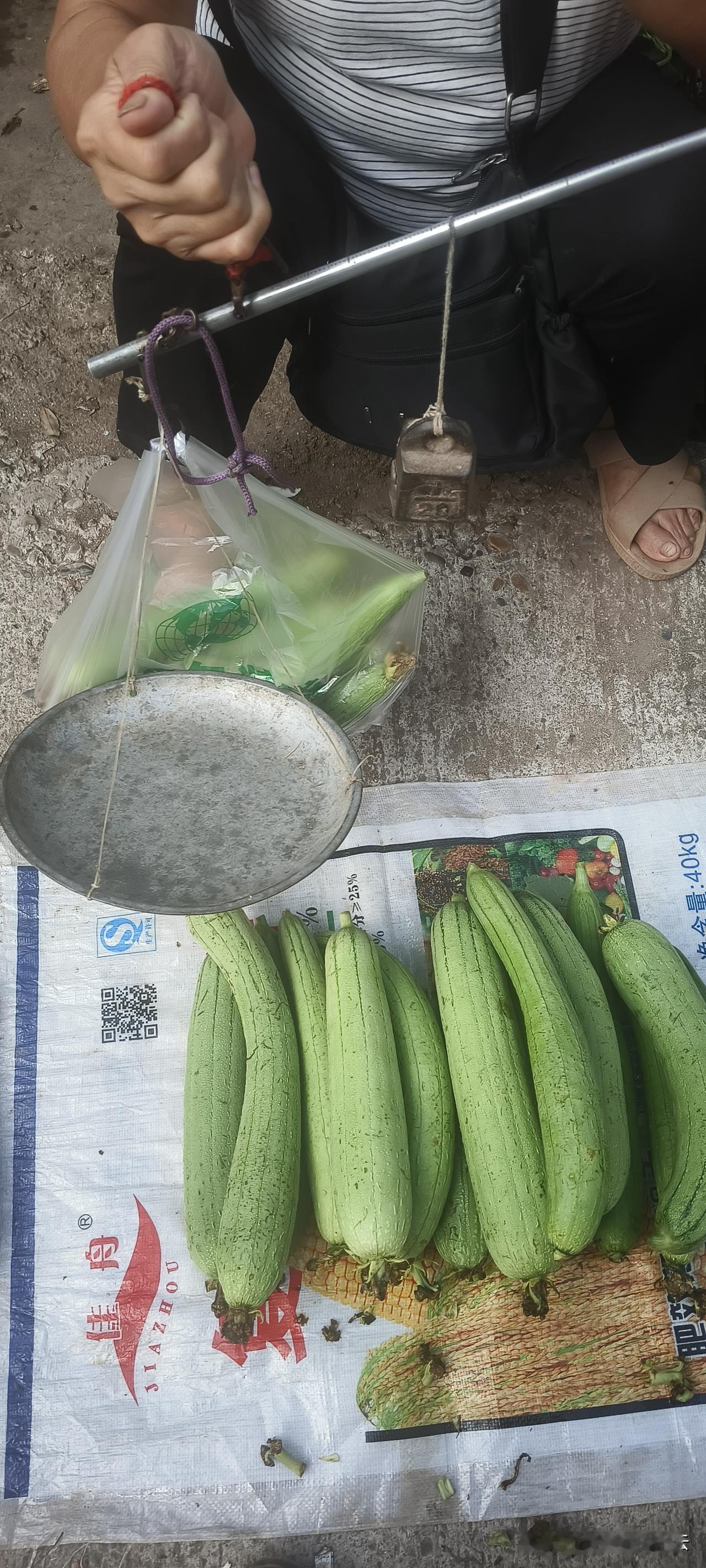 我去集市上买菜，看到老大娘在卖丝瓜，这些丝瓜才从地里摘下来的，看上去很新鲜。
