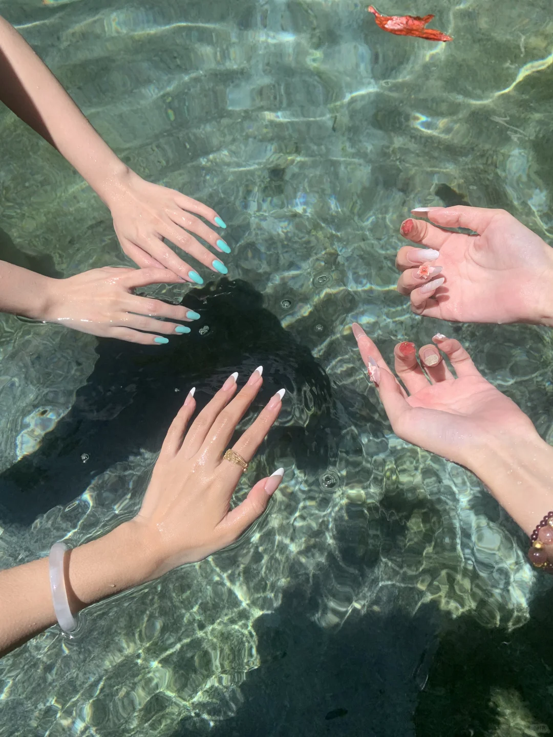 夏天 巴厘岛 生命力