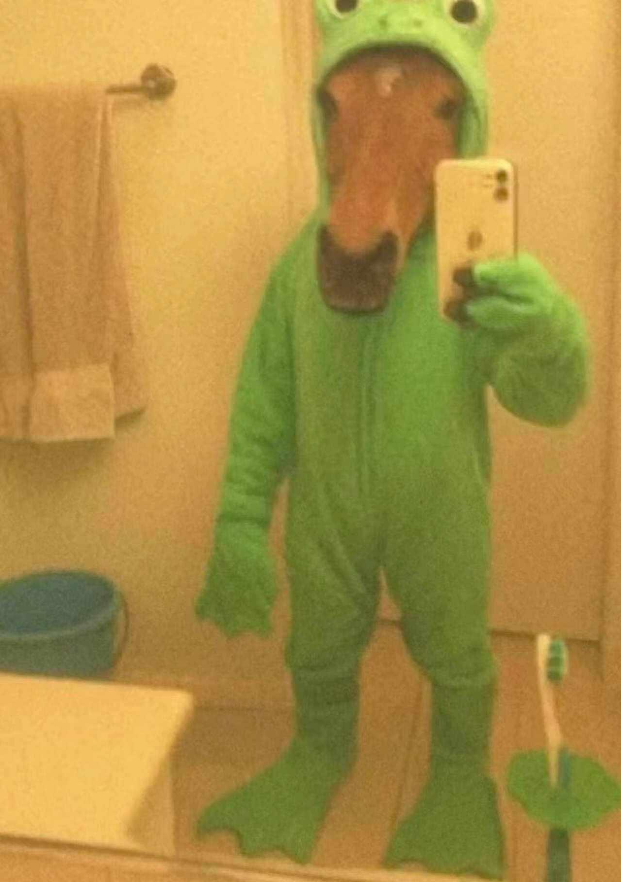 背了无数的谜语大全，到你这被猜全猜不出来了有趣的衣服 以前的衣服 的三餐四季 猎