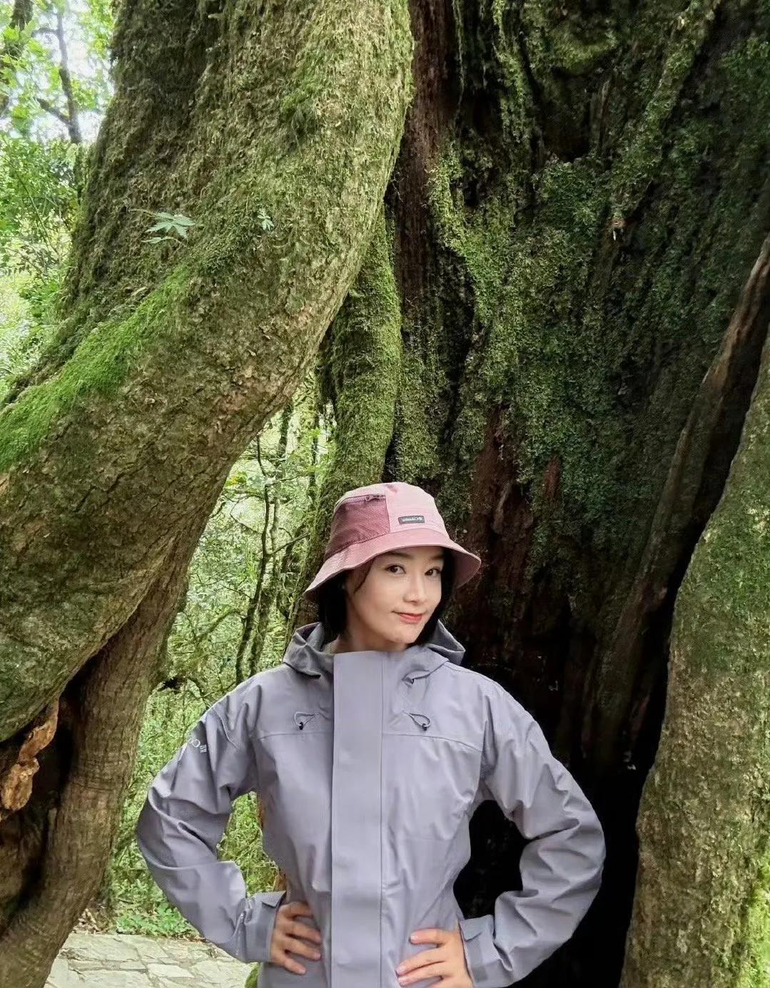 袁姗姗现身哀牢山，已开发景区也需谨慎

近日，演员袁姗姗现身云南哀牢山，参与电影