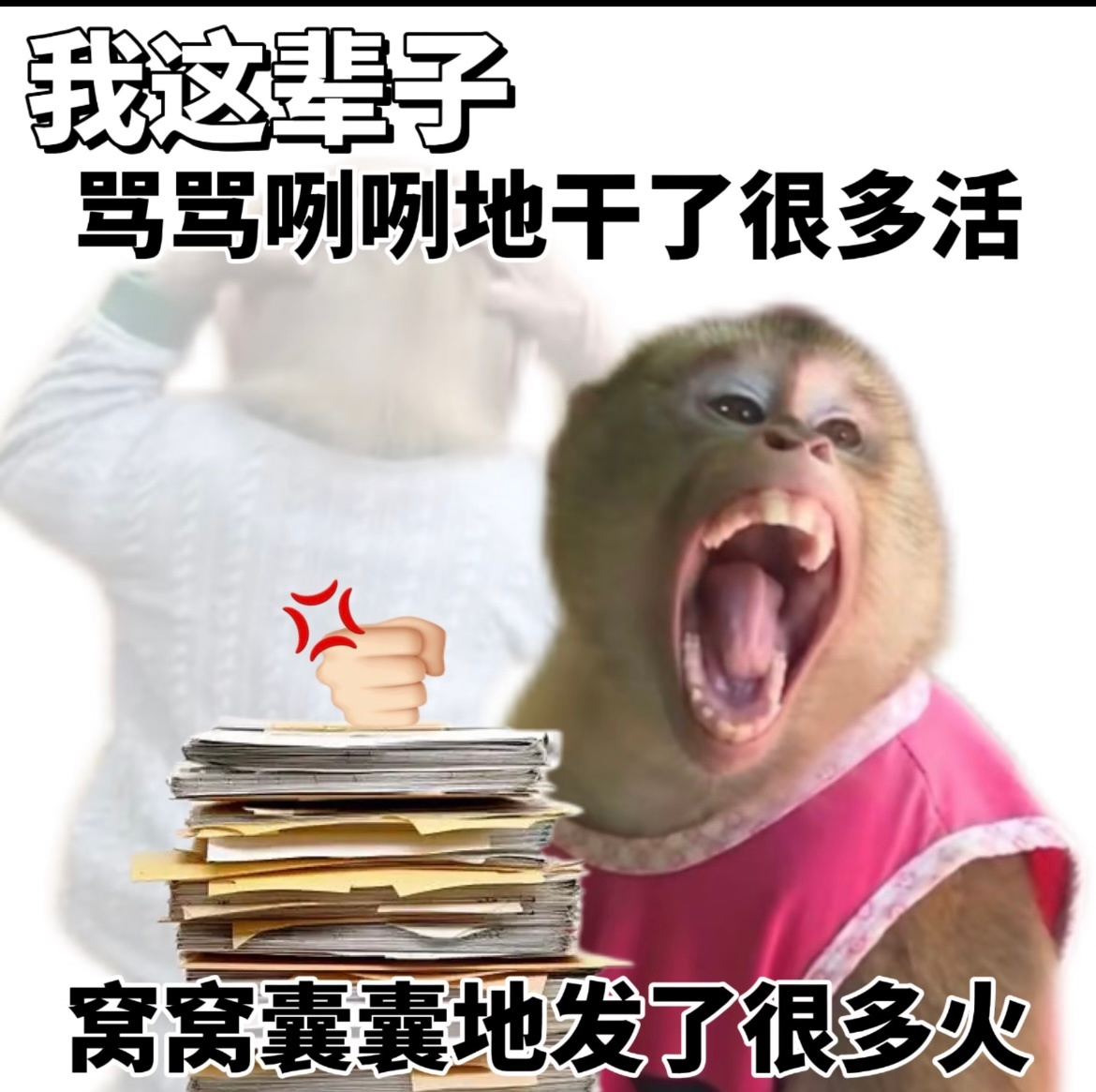窝囊  我的一天 起床 咒骂 假装努力 摄入食物 毫无原因的犒劳自己 岁月静好 