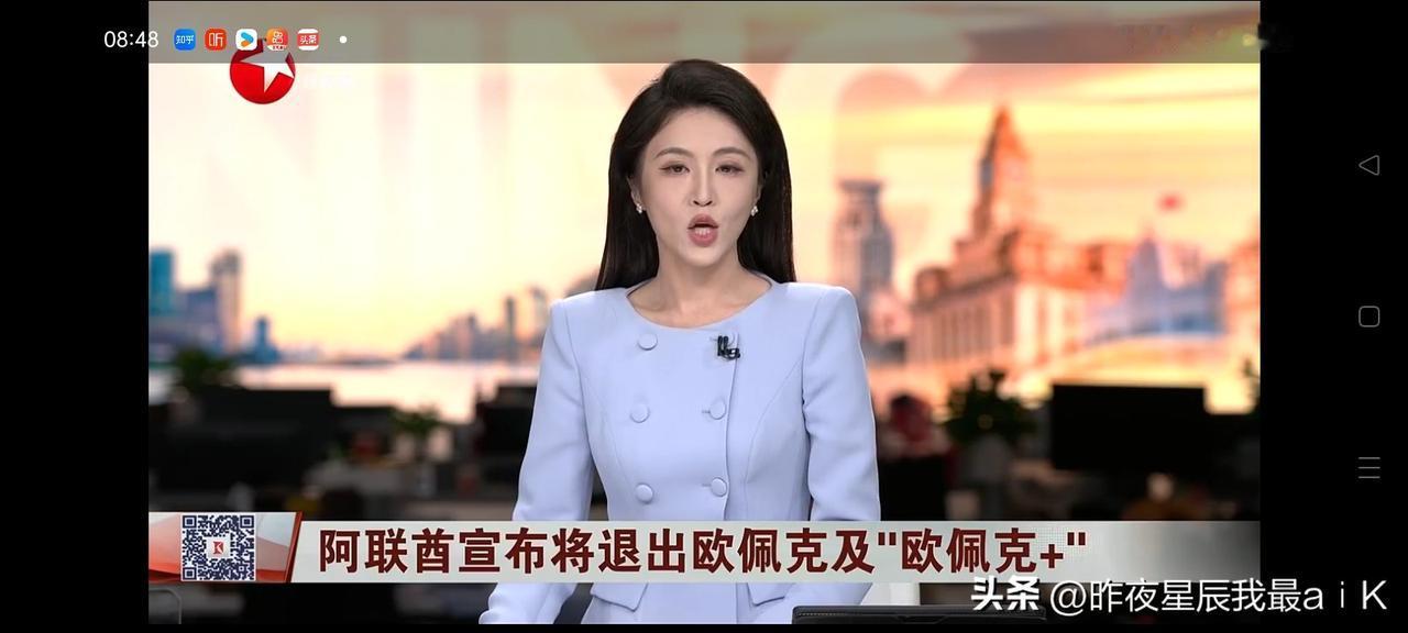 由于我长时间码字做自媒体，以至于今早在东方卫视看到她，我脑子却卡壳短路不知她的芳