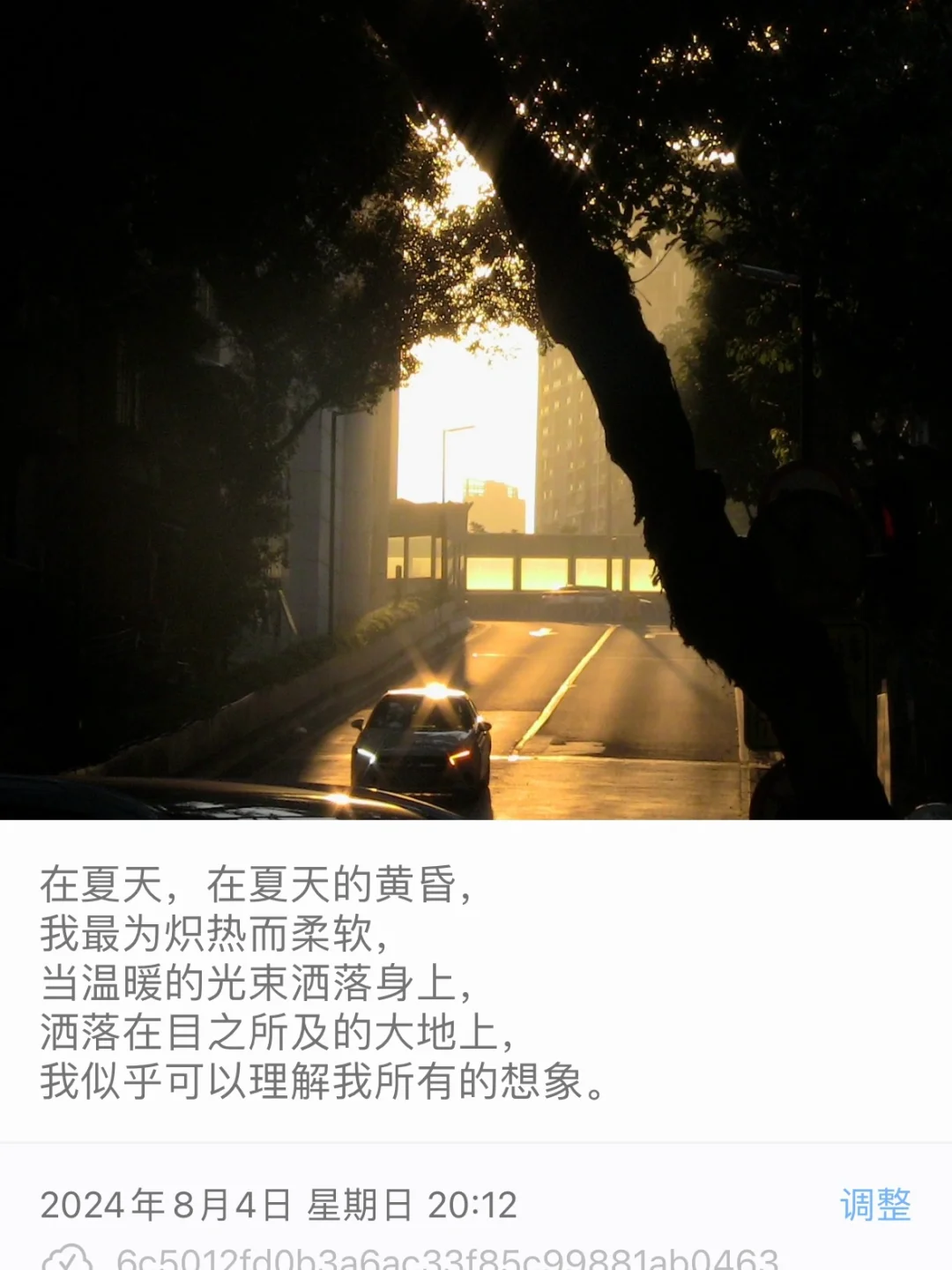 一些时刻，我享受纯粹而真实的热烈。