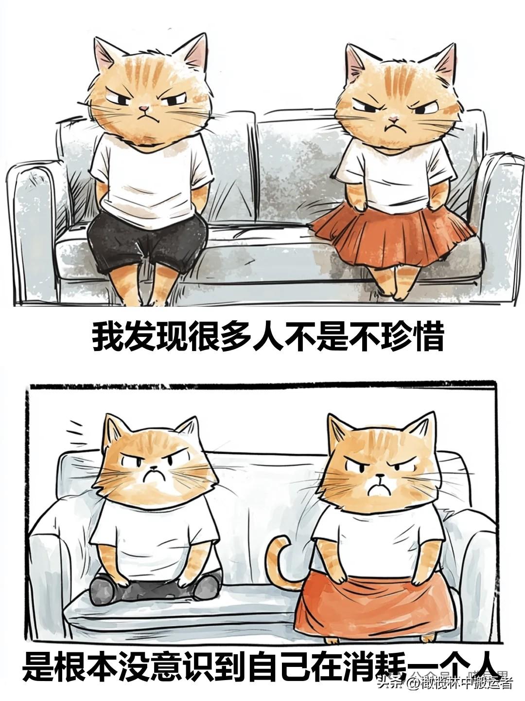 治愈漫画 I 为什么越是对你好的人，你反而越容易忽略漫画治愈时刻 漫画治愈心灵 