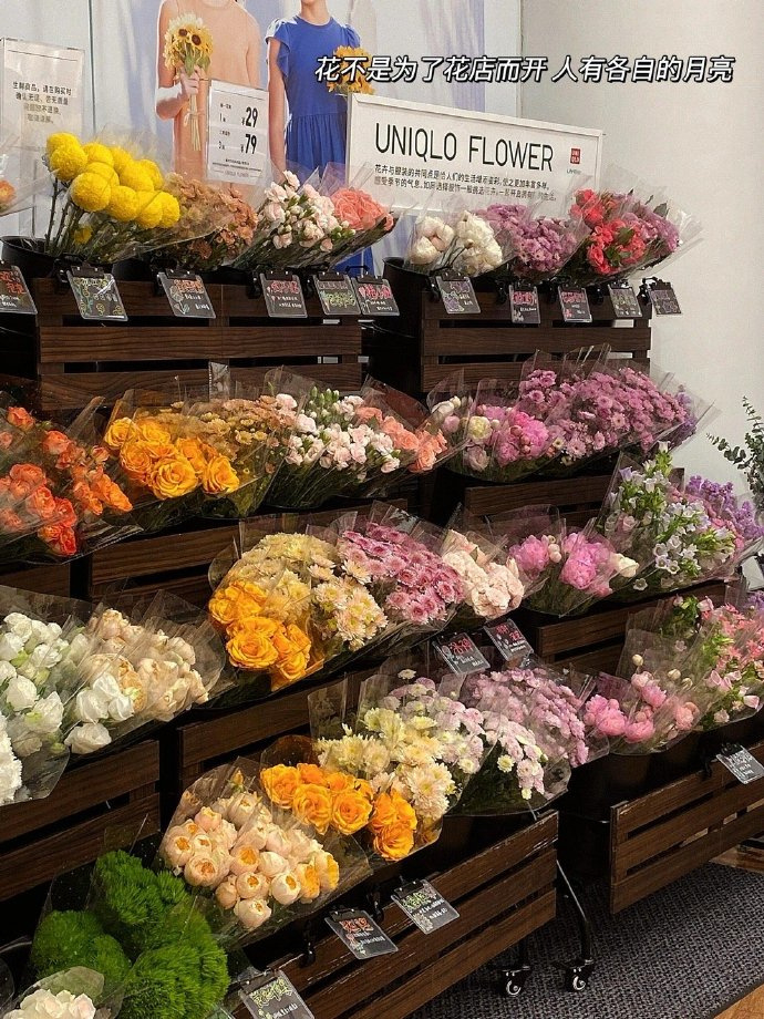 🐈⬛ 𝖧𝖺𝗉𝗉𝗂𝗇𝖾𝗌𝗌“有时候停下来 比急着走更重要” 