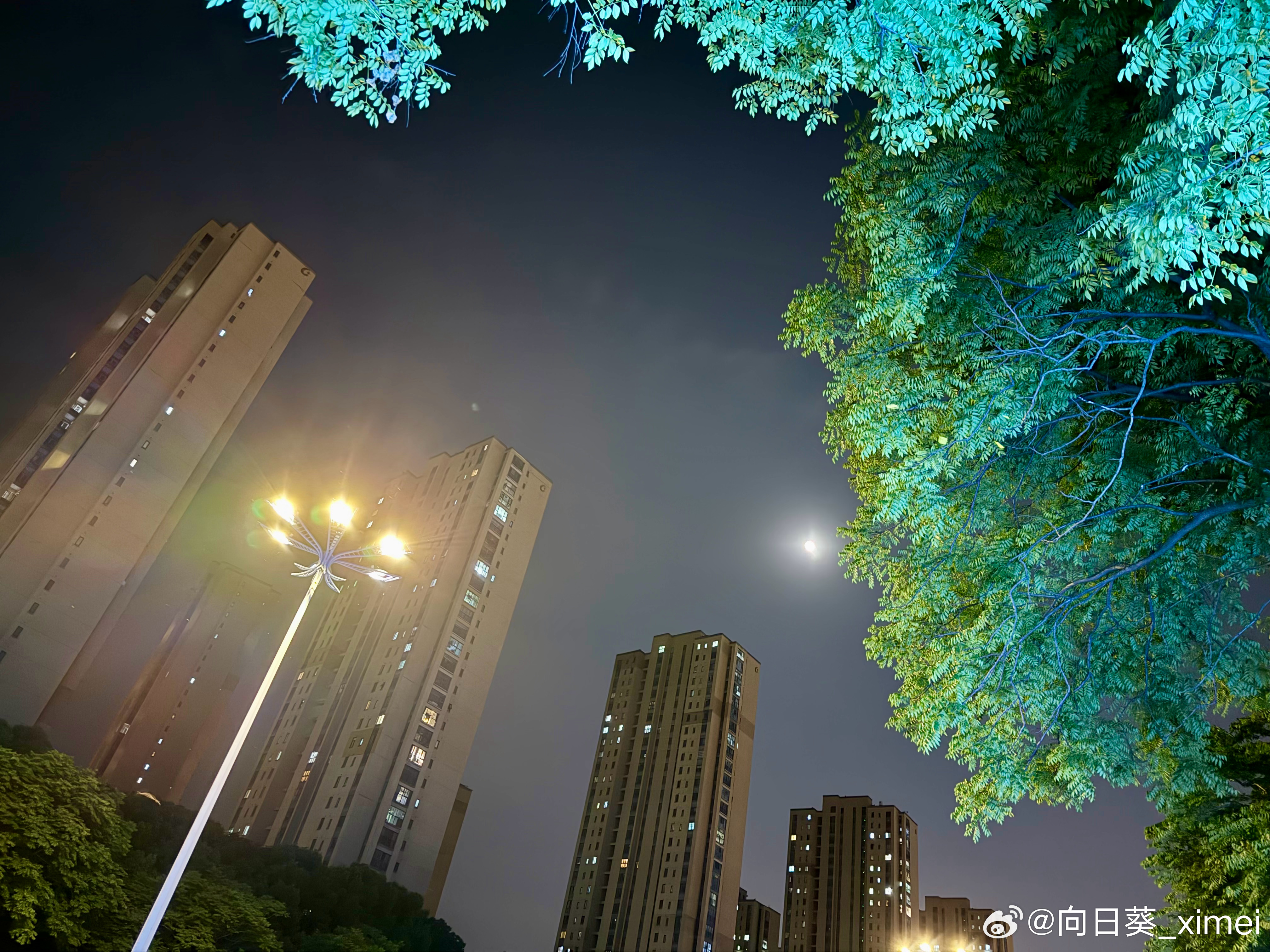 随手拍晚安 常州