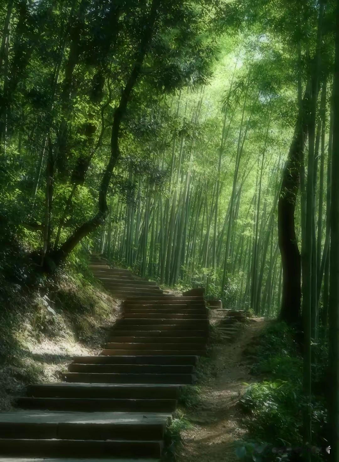 山风山深寂寞苍，
林幽林多悠悠绿。
穿山穿岭背背篓，
阿哥阿妹喜牵手。