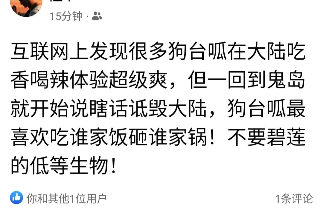 【#庆哥评论#有岛内网友说很多台胞来了大陆吃喝玩乐，然后回岛内却又换张脸开始骂大