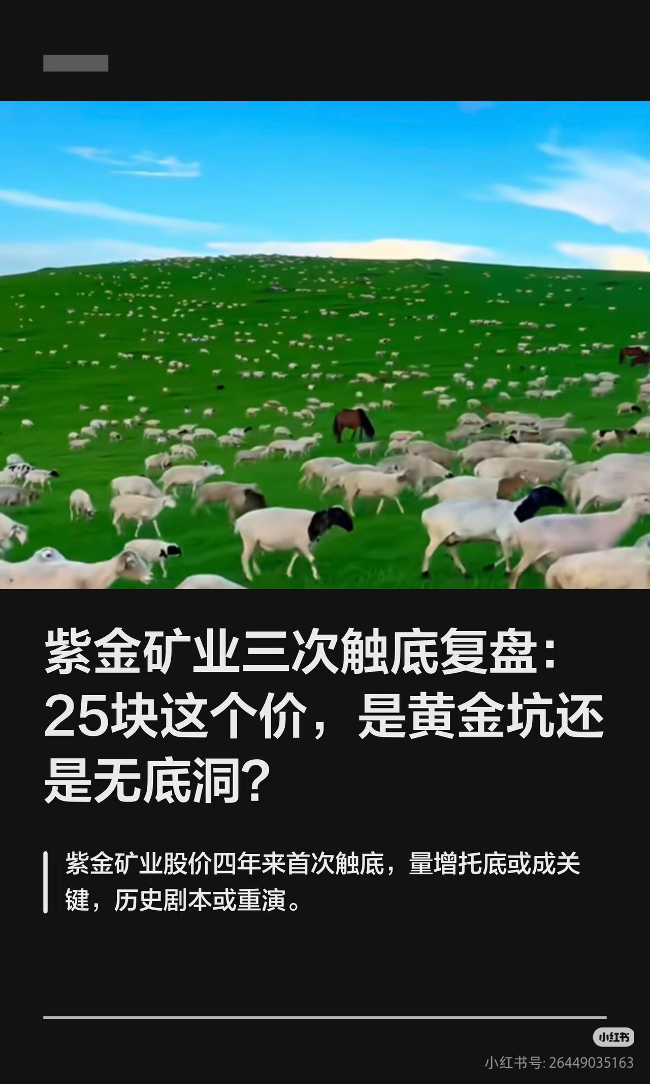 紫金矿业25元复盘：第三次大底，是黄金坑还是无底洞？
 
现价25.1元，从年内