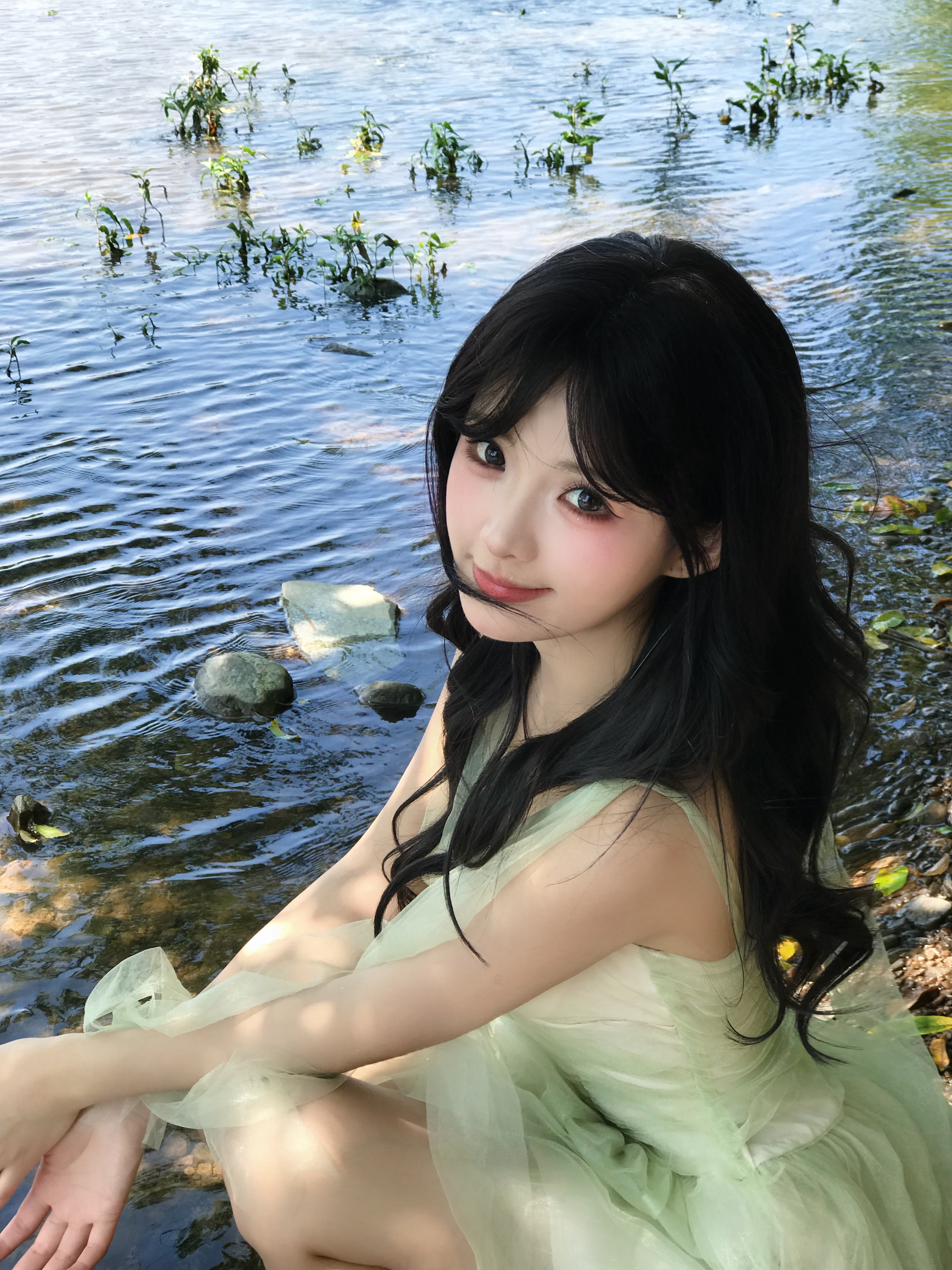莉莉崽 🌳 