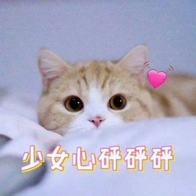 🔥搜来了大明星就是这样啦，来安利铺广场了！ ​​​