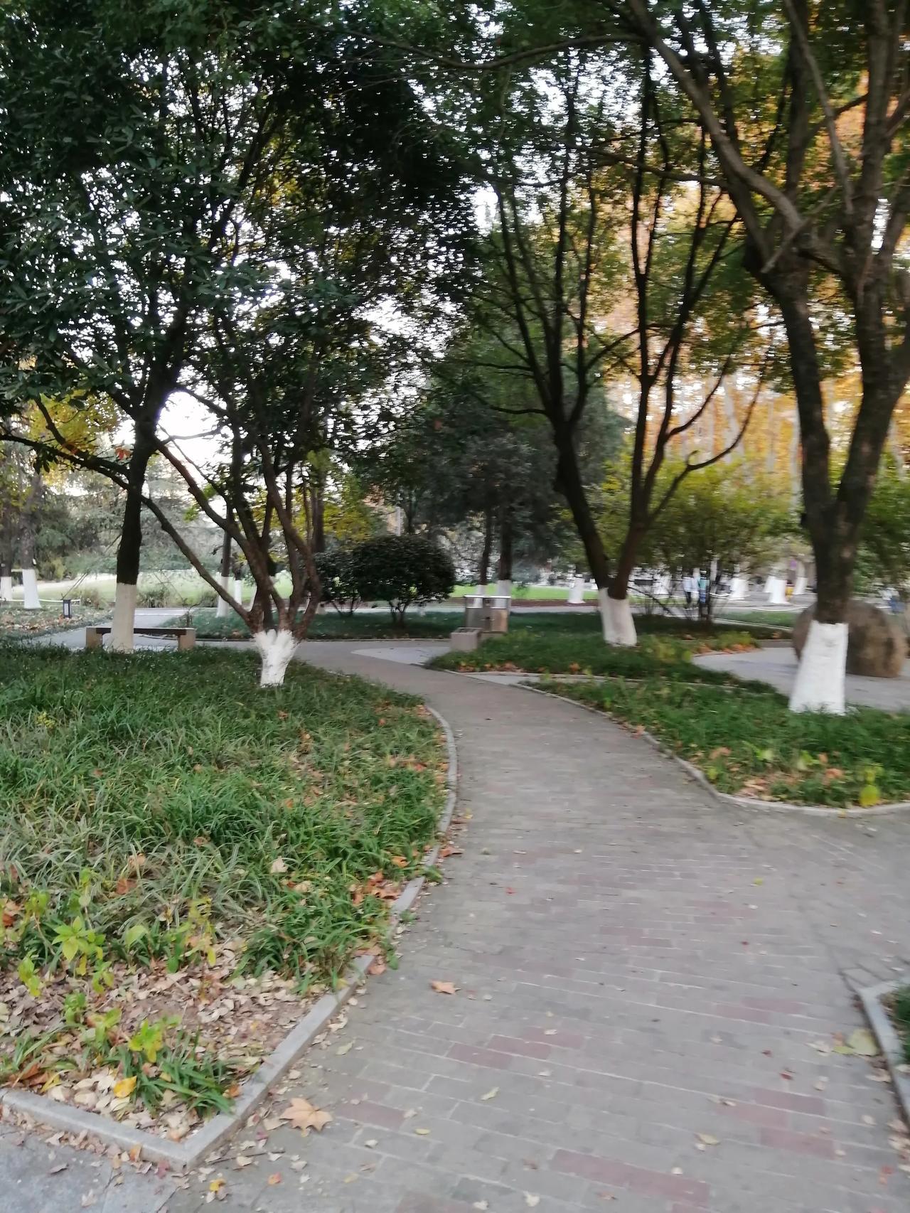 轻轻地再轻轻地走进学校的花园，不能惊醒我心上的人；轻轻地再轻轻地走到长櫈前，仿佛