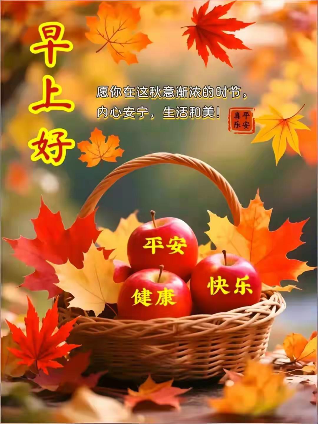 今天刚好是9月27日，对应农历八月十七，风里都裹着刚收完秋的桂花香，连楼下卖糖炒