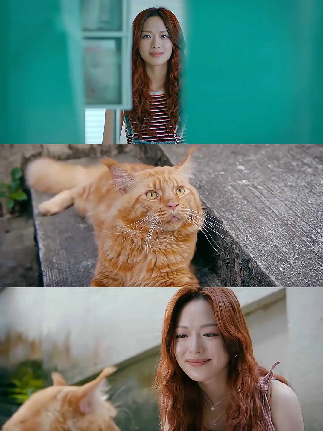 🆘难道夏莉是猫咪nana变的❓