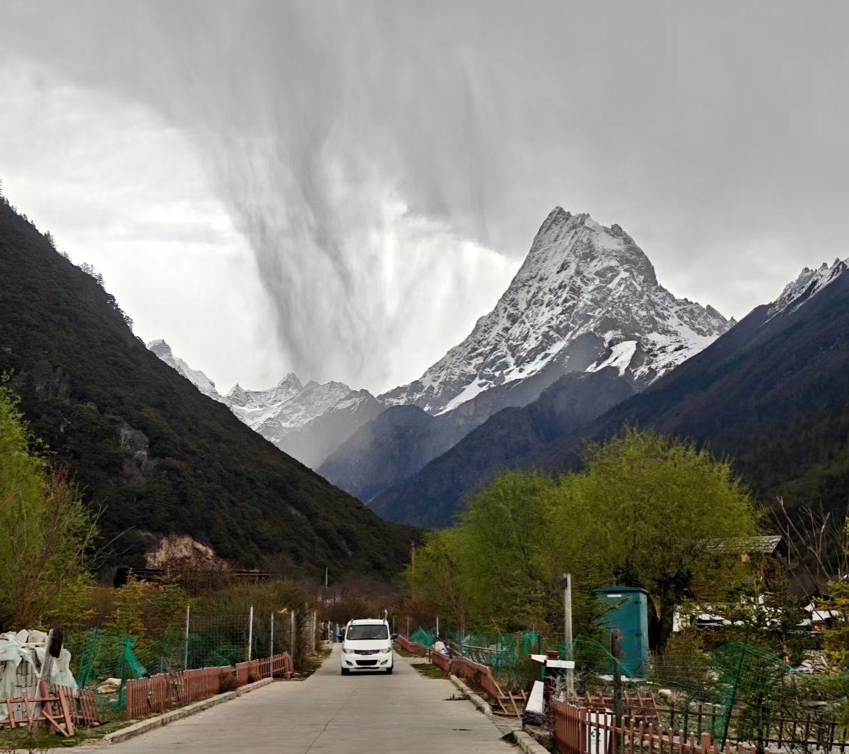 晒图大赛雪山为幕，春柳为邻，一路向山而行，连风都带着山野的清冽与新生的温柔。